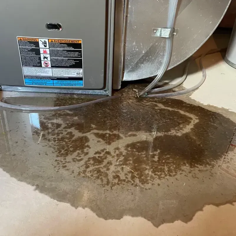 Appliance Leak Cleanup in Concord, MA